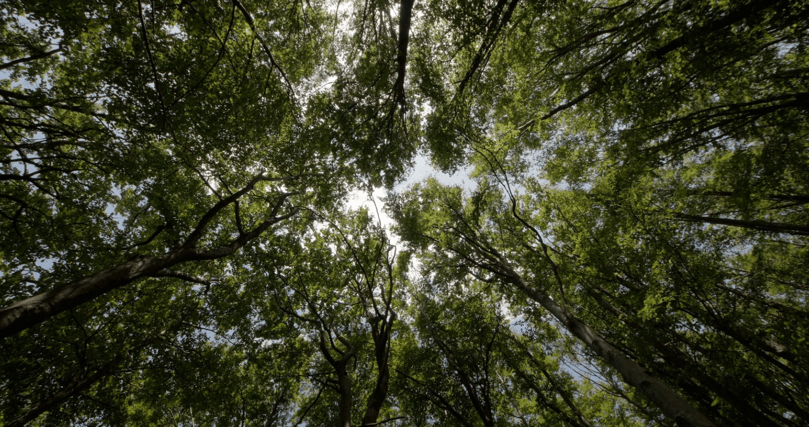 Duurzaamheid in Werktassen: Eco-vriendelijke Keuzes voor Iedere Gelegenheid